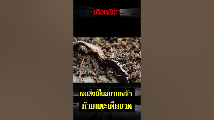 เตือนภัย! เจอสิ่งนี้ในสนามหญ้า ห้ามแตะเด็ดขาด #news #เตือนภัย