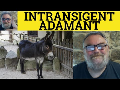 🔵 Intransigent or