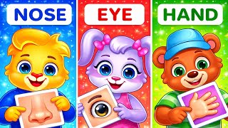Body parts names song | learn parts of body | body parts rhymes babies | learning videos for toddler