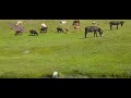 پارت اول صدای آب و باد در کنار سر سبزی های زیاد پارک ملی شیوه بدخشان پارت اول صدای آب و باد در کنار سر سبزی های زیاد پارک ملی شیوه بدخشان