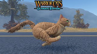 Can Runningwind Run As Fast As Wind? Warrior Cats Ultimate Edition
