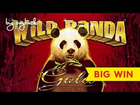 BIG WIN, MAX BET! Wild Panda Gold Slot - GREAT SESSION!