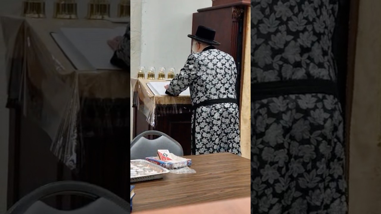 אדמו"ר מקאמארנא ברא פארק בספירת העומר