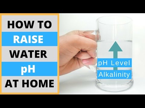 घर पर कैसे बनाएं क्षारीय पानी | DIY स्वाभाविक रूप से और मशीनों के बिना पानी का पीएच स्तर बढ़ाएं