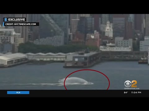 New video shows moment boat capsized on Hudson River