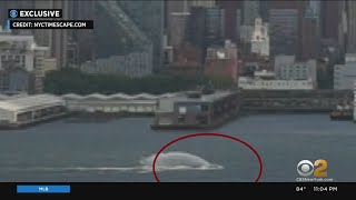 New video shows moment boat capsized on Hudson River
