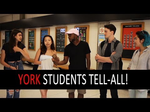 everything-you-need-to-know-about-yorku