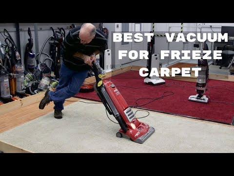 Best Vacuum for Frieze Carpet - Top 5 
