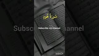 Allah Har Makhlooq Ka Rizq Deta Hai | Surah Hud Ayat 6 Powerful Reminder#shortsviral