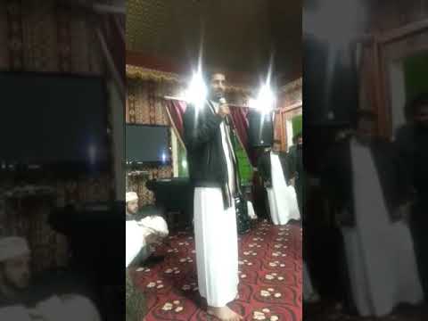 الشاعر علي سويدان العقيلي قصيده الصقر