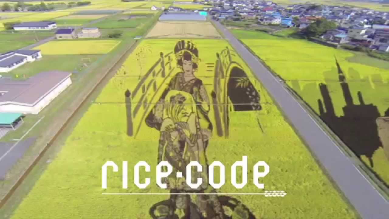 田舎館村「田んぼアート」＋「ライスコード」(第一回JACEイベント