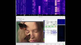 🖼️ Decoding HamDRM (WinDRM, D-SSTV) on 40m (7058 kHz LSB) 2025 12 06 16 44 UTC #hamradio #shortwave