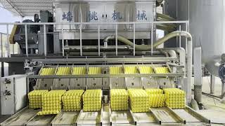 Pulp and egg tray automatic stacking machine