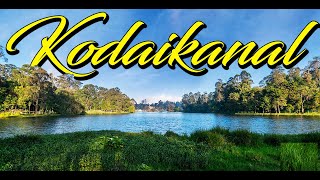 Bangalaore to Kodaikanal by Car | Switzerland of India- Poondi |Kodaikanal Tourist Places |Tamilnadu