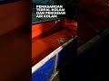 Budidaya Nila Di Kolam Terpal