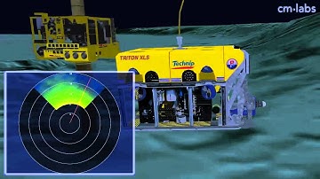sonar simulation