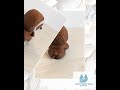 Funny Sloth “Not Today” Figurine – Lazy Mood Desk Decor