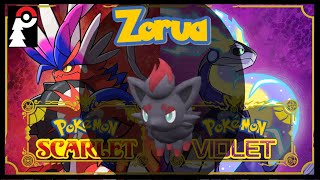 Where to *Easily* get a Zorua in Scarlet/Violet - Prometheus Pine