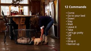 Good Dog ONE-der Class