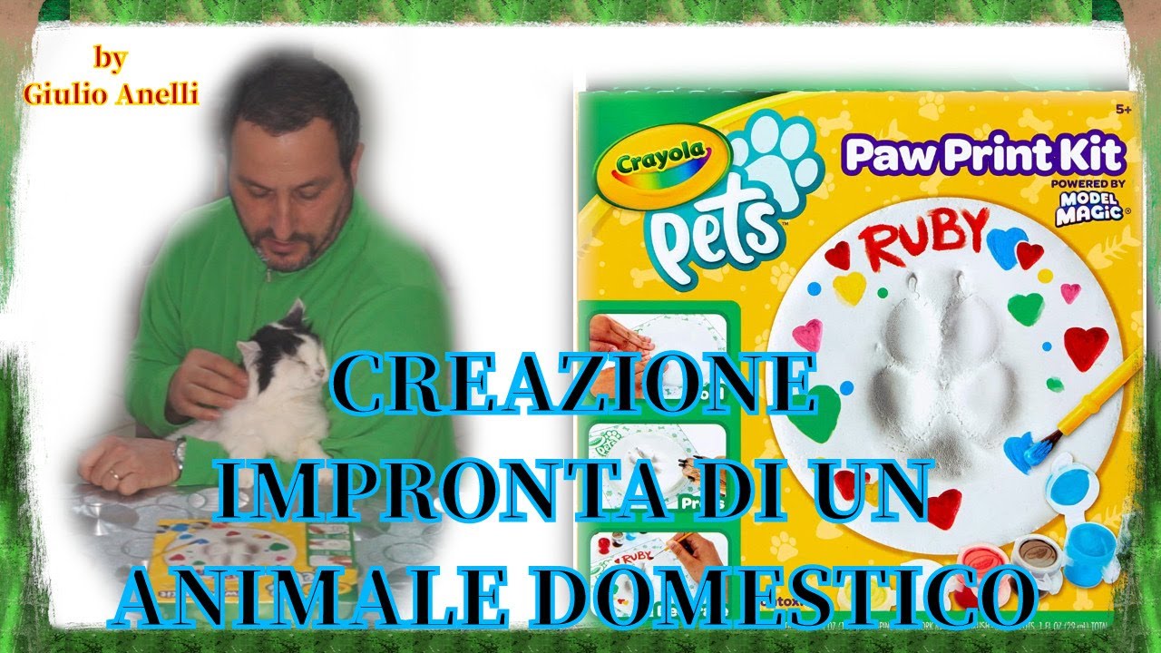GLOBLELAND Segnalibro con Gatto Artistico Timbri Trasparenti Fustelle Stencil In PET per Pittura Etichette A Forma di Lisca di Pesce con Gatto Timbri In Silicone Fustelle In Metallo Stencil In PET