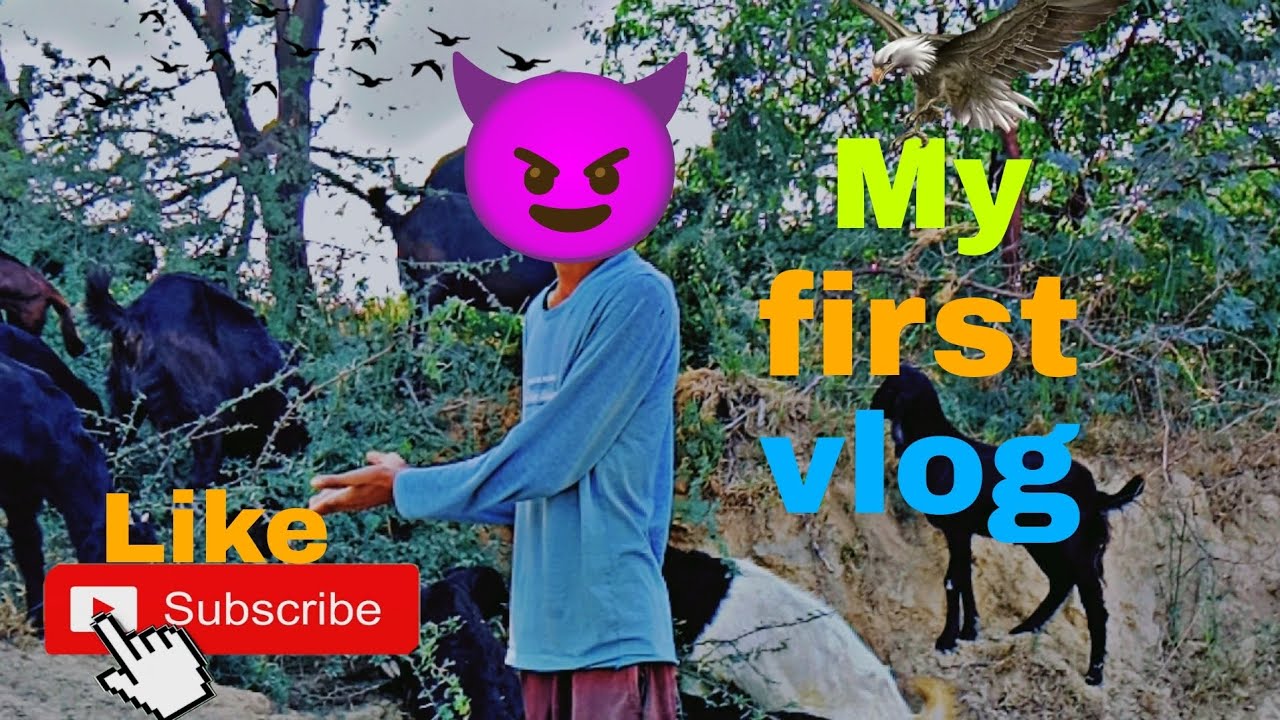My first vlog please subscribe my YouTube channel 🙏#firstvlog # ...