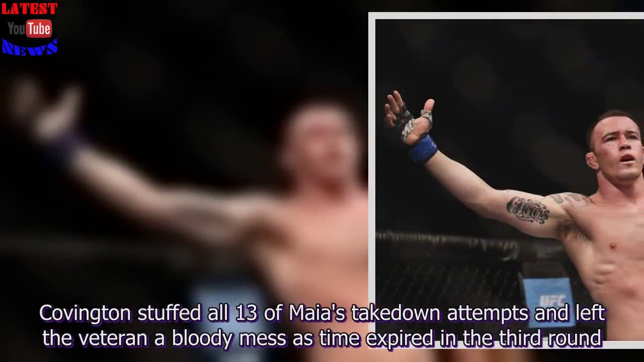 UFC Fight Night 119 Sao Paulo Results  Bonus Winners, Highlights, Fight Score, Attendance & Gate