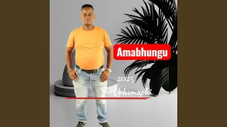 Ngiyasebenza