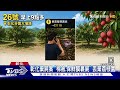 彰化棄屍案 「棉被.保鮮膜裹屍」 丟棄荔枝園｜TVBS新聞 @TVBSNEWS01