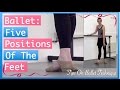 5 Ballet Positions Of The Feet | Tips On Ballet Technique の動画、YouTube動画。