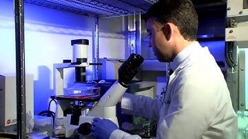 Matthew Frieman talks about MERS, and Potential Treatments