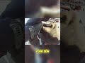 When Kids Encounter Rough Police Officers #bodycam #truecrime