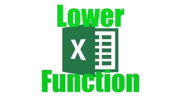 How To: Use The Lower Function in Excel