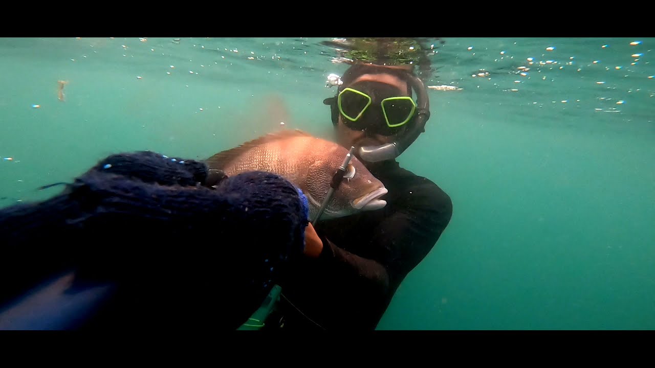 Spearfishing in evening(Best time to hunt)