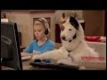 G Hannelius - Dog With A Blog - Season 1 highlights - A collection of clips from every episode