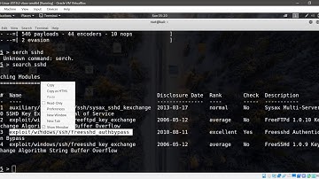 lab 6 exploit freeSSHd vuin