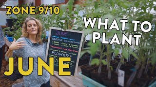 What to Plant in a June Garden in Zone 9 & 10