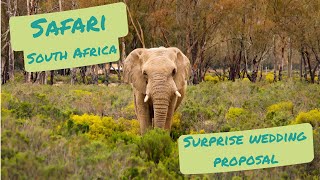 Safari in South Africa, Surprise PROPOSAL! Aquila Private Game Reserve. LGBT travel. LezExplore