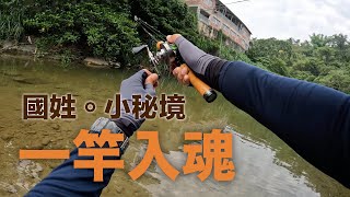 秘境尋捲趣 - 下溪馬上一竿入魂50粗捲！標點幾乎竿竿爆！！還有50mm迷你捲～ #路亞 #台湾のルアーフィッシング #何氏棘魞 #捲仔 #黑康23 #tailwalk #SHIMANO #木炭鉛筆