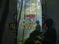 日本人の99%が知らない。恐ろしいほど悪を断ち切る最強の言霊。 #開運 #今日から開運 #金運 #スピリチュアル