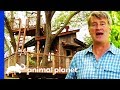 Building an unbelievable rustic river treehouse  treehouse masters