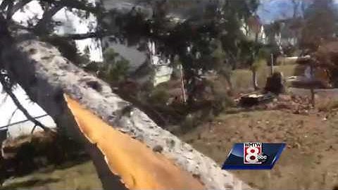 Video: Large tree falls on Portland home