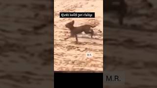 Khushi badhti jani chahiye#trending video#ytshorts