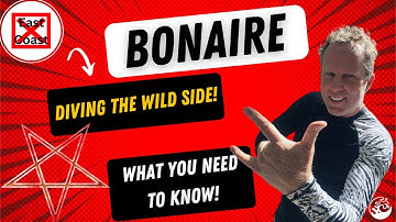 Bonaire, Diving the Wild Side