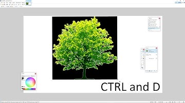 Year 5 Paint Net Rainforest 3