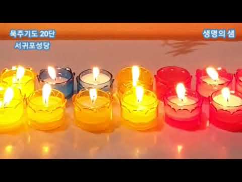 영상썸네일
