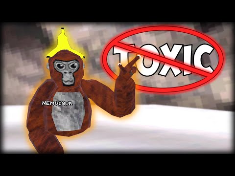 EVERY Gorilla Tag Player Should Know This!