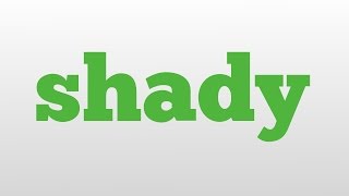 shady meaning and pronunciation