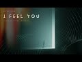 Schiller - I Feel You (Ersin AVCI Remix)