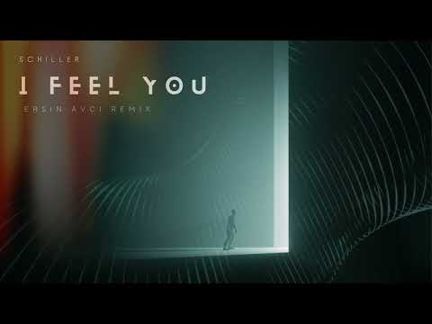 Schiller - I Feel You (Ersin AVCI Remix)