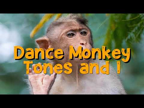 Video Dance Monkey 10 Hour Video - youtube